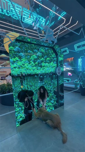 Is that screen... breathing? Come closer. Your eyes won't believe it.#digital #nakedeye3d #fantasyspace #9d #immersiveexperience