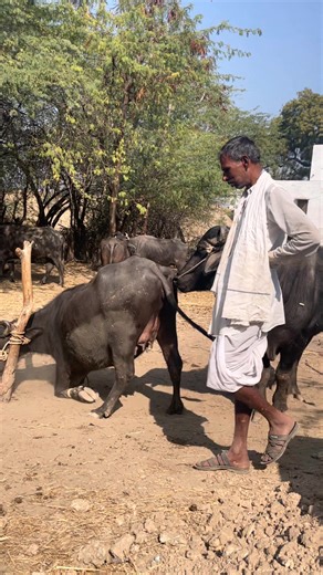 All Time Amazing Fact on Reels