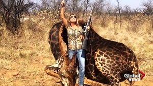 Trophy hunting outrage sparks debate