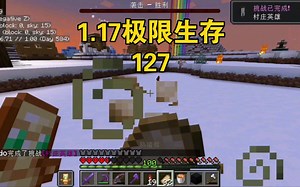 【我的世界】Java版1.17极限生存 127