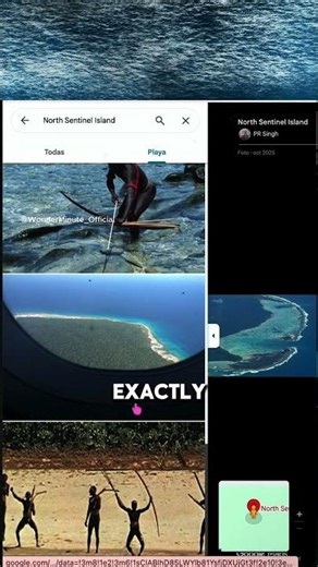 An Island No Human Is Allowed to Enter… Ever