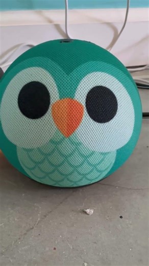 1 out of 6 Echo devices lost connection