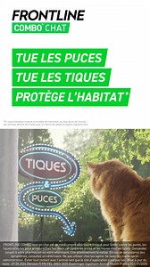 2K views · 18 reactions | Protégez votre chat avec FRONTLINE COMBO. L’antiparasitaire le plus complet de la gamme FRONTLINE | Frontline France | Facebook