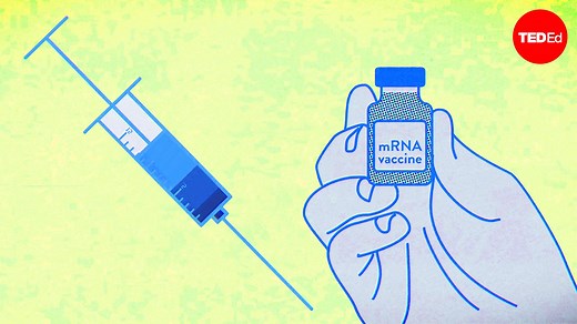 How the COVID-19 vaccines were created so quickly