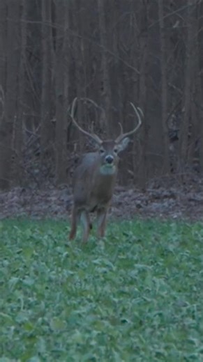 Willie Roberston shoots a MONSTER 6❓👀