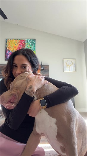 Gentle Giants: The Truth About XL Bullies