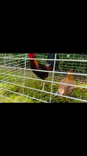 Galen Solamin Pacturan on Reels