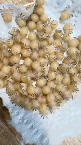 35K views · 2.1K reactions | Alien #alien #pets #pets #spider #love | Spider Lublin | Facebook