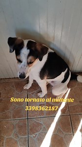 45K views · 1.3K reactions | ELIO È DISPERATO: DOPO 9 MESI IN...