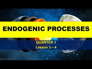 Endogenic Processes and Magmatism