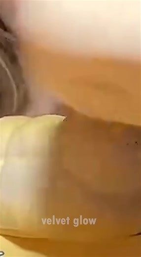 Easy Homemade Squishy Tutorial 💕