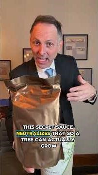 Tree pod #funeral #funeralservice #funeraldirector