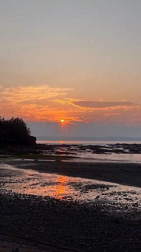 Scott Brison on Reels