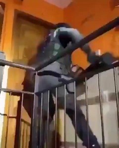 22 reactions · 8 comments | When you get your doors from ZIM DOORS | ZIM DOORS | Facebook