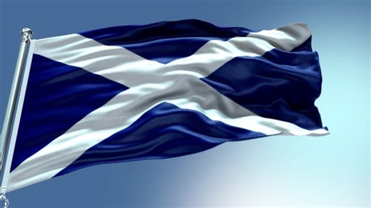 Line Art, Shape, Irregular