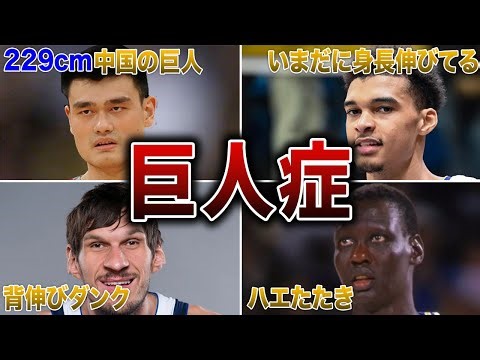 【2032cm】NBAの歴史に残る巨人症と言われた選手9選！