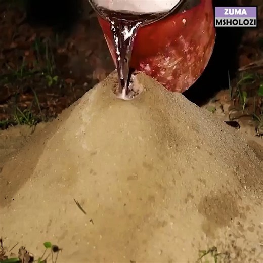 111K views · 140 reactions | Molten hot aluminum was poured into the ants nest and the result obtained is just so incredible! 勞 | Menny Escobar | Facebook