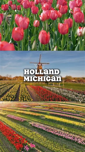 🌷 Holland, Michigan Tulip Festival – iTravelWithMiki 🚌 📅 Trip Dates: May 4–8, 2026 💰 Pricing: • $1,073 per person (Double/Triple Occupancy) • $1,485 per person (Single Occupancy) 📝 Register: https://traveljoy.com/bookings/TLNcJewwcnUy2pGktoDm96uu 🌐 https://www.itravelwithmiki.com/motorcoach-trips 📞 Call Zac: 501-799-3820 📧 Email bustrips@itravelwithmiki.com ⏳ Limited seats — reserve your spot today! 🌼 | ITravel with Miki