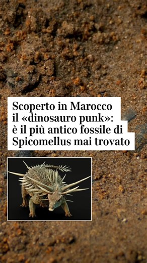 Corriere della Sera on Instagram: "Il «dinosauro punk», come lo ha soprannominato ironicamente qualche scienziato, aveva una corazza con enormi spine ossee fuse alle sue costole, alcune delle quali raggiungevano il metro di lunghezza. Il fossile di questo dinosauro erbivoro del Giurassico, chiamato Spicomellus, è stato rinvenuto nei pressi della cità di Boulemane, nel Marocco centrale, dove è vissuto circa 165 milioni di anni fa. Sulla rivista Nature è appena stato pubblicato un articolo che des
