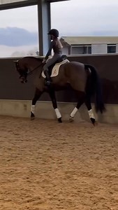 We recently sold a 16hh 7yo mare on behalf of a client. She sold immediately so we didn’t have time to show you this 🥰 A just-turned-10yo pupil of Ruby Hughes’ - Annabella Howe - came along for a ride. It was absolutely adorable and as much a treat for us as it was for her ❤️ Contact us for more details on buying or selling! Rebecca 00447768918706 | Classic Dressage