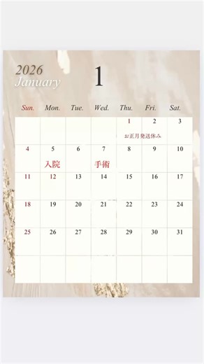 バディーベルトジャパン 代表 スタッブス里美 on Instagram: "1月カレンダー🗓️"