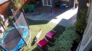 7.1K views · 53 reactions | Scary footage: A coyote runs after a girl in a Portland yard. | The Columbus Dispatch | Facebook