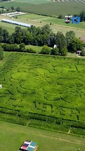 1K views · 21 reactions | The farmer behind Cold Mtn Corn Maize in Canton talks about the origin of the 19-year tradition and why he keeps doing it year after year.  MORE: https://wlos.com/community/carolina-moment/farmer-turns-corn-maze-into-lifeline-for-charities-cold-mtn-corn-maizes-annual-tradition-continues# | WLOS ABC 13 | Facebook