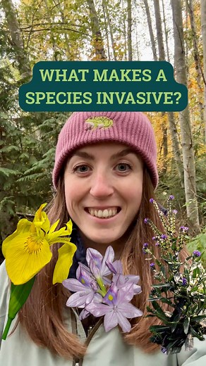 3 comments | What makes a species invasive? It’s complicated. Not...