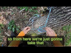 Arborist Skills | SRS Lowerable Basal Anchors Video 2 of 3 Tree Care Industry Association Magazine