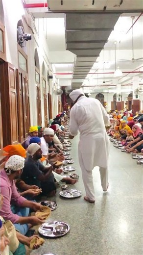 Sewa daily #sridarbarsahib #goldentemple #waheguruji #gurbani #travel