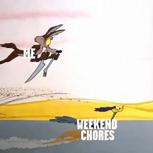 1K views · 48 reactions | There is always next weekend  | Boomerang TV | Facebook