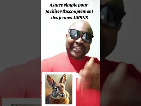 🚨 MATING YOUNG RABBITS: THE SIMPLE TIP FOR SUCCESS! 🚨 #lepetitelevagefk