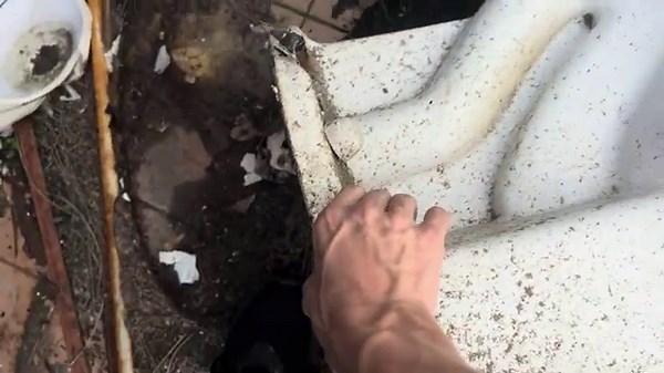 Abandoned School Restroom Tour!