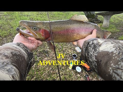 LAKE AMADOR FISHING WITH THE BEST SPOON ??? ( 🔥SUBURBAN TROUT 🔥)