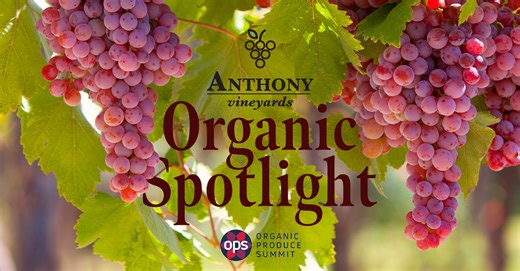 Anthony Vineyards Brings Organic Table Grape, Date, and Mango Offerings to Organic Produce Summit; Rob Spinelli Details