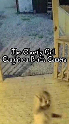 A homeowner’s security camera captured a figure resembling a small girl standing on their front porch, prompting a police search after the residents found no one there. Authorities, with help from firefighters and a heat-seeking drone, failed to locate any trace of a child or intruder. When the eerie image went online, opinions split—some viewers saw the blurred shape of a running child, while others blamed insects or light distortion near the lens. Another frame from that night showed the homeo