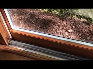 Patio Door Sash Replacement - Argo Glass and Windows