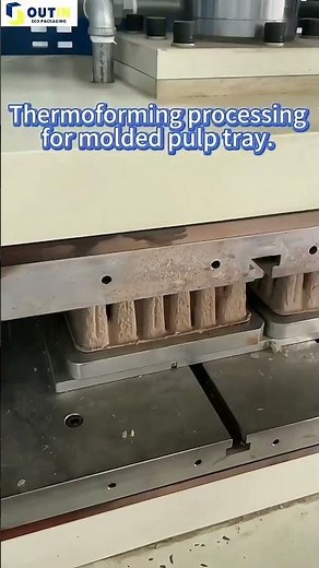 Thermoforming processing for molded pulp tray #paperpulp #biodegradablepackaging #ecofriendly