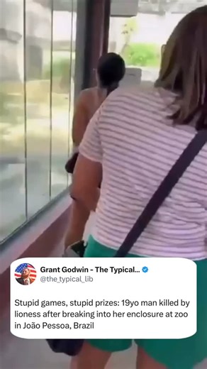 Grant Godwin on Instagram: "Fun fact: don’t jump into a lion’s enclosure at a zoo. This is common sense for most people."