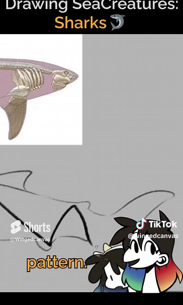 SeaCreatures: How to Draw Sharks 🦈!! #art #illusion #drawing #howtodraw #digitalart #seacreatures #sharks