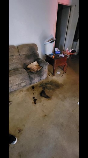 Mister Cleanup (@gingerdaddy51)’s videos with Creepy and simple horror background music(1070744) - howlingindicator