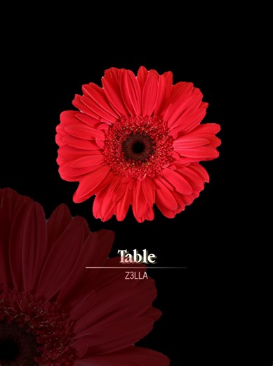 table>> #fyp #foryou #lyrics #songs #viralvideo | lyrics song