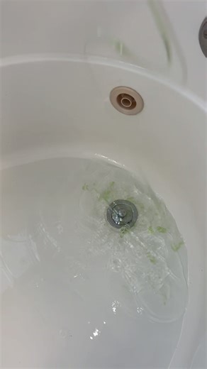 The Joy of Cleaning: Satisfying Tub Washing ASMR