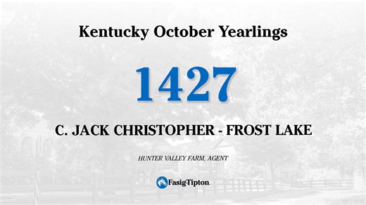 Hip 1427 - FTK October Yearlings - colt by Jack Christopher - Frost Lake