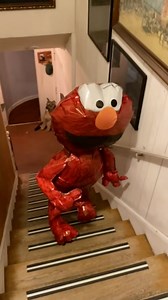 5.4K views · 71 reactions | Elmo :( | Leyendas Urbanas Y Cuentos De Terror En Cuernavaca | Facebook