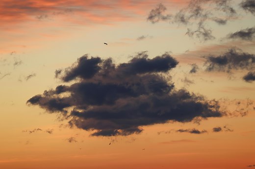 Bridgewater Associates All Weather Fund Performance Review