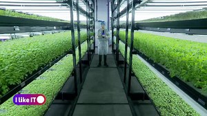 Impactul tehnologiei a început să-și pună amprenta și în agricultură. Cum ar putea fermierii să cultive terenurile în viitor - Știrile ProTV