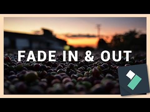How to Fade In and Out a Video | Filmora 12 & 13 Tutorial