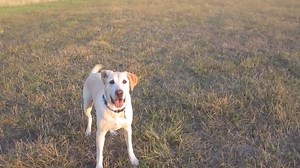 Fresh Start Train Smart: Smart Essentials Course