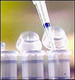 Vet innovations: Stem cell therapy - Horse & Hound